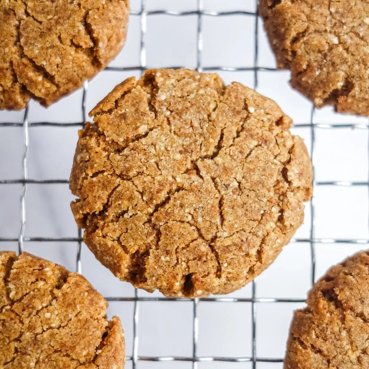 overhead shot of tiger nut cookies cooling on a wire cooling rack