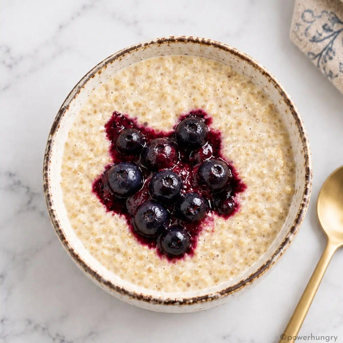 overhead shot of vanilla quinoa pudding topped with blueberry compote