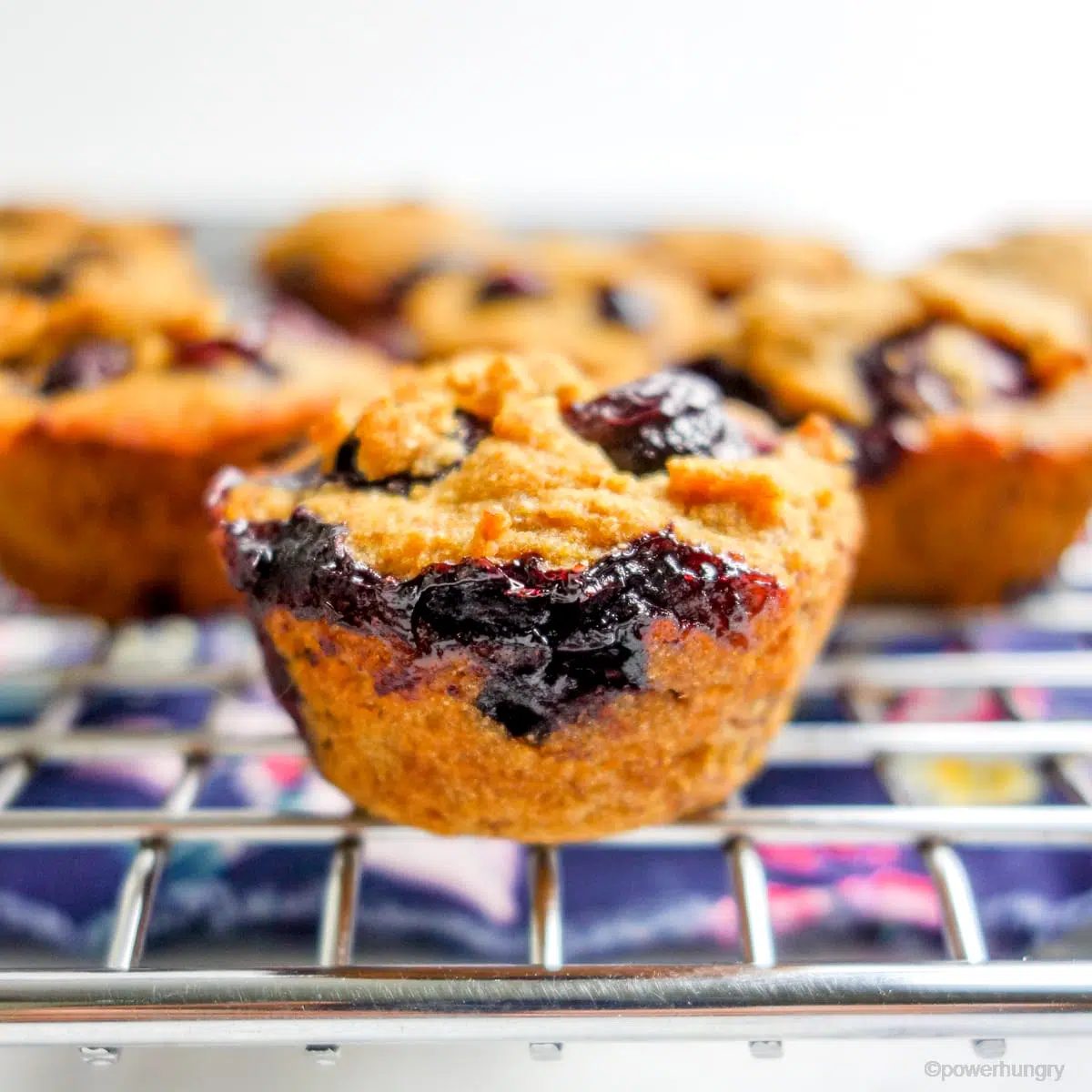 vegan cassava flour blueberry mini muffins cooling on a wire rack with a colorful blue floral napkin beneath the rack