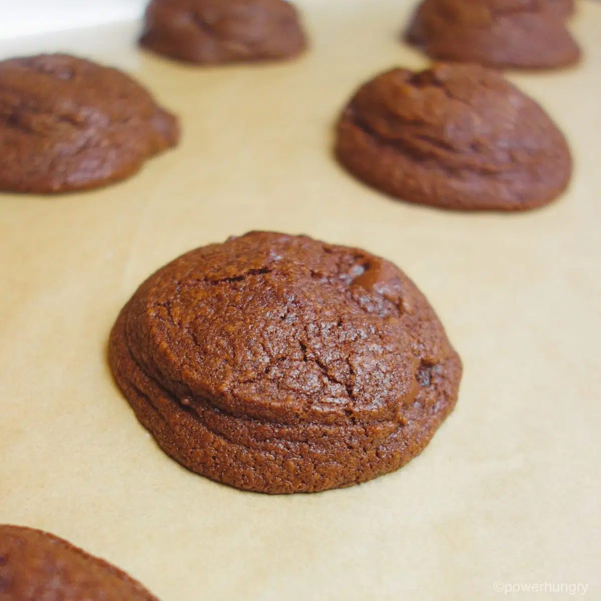 baked coconut flour chocolate avocado cookies on a parchment lined baking sheet