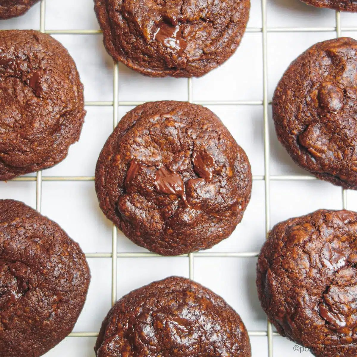 vegan chocolate avocado coconut flour cookies cooling on a cooling rack