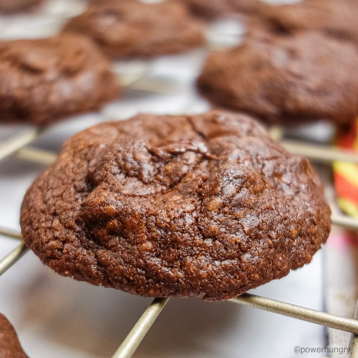 Chocolate Avocado Coconut Flour Cookies (GF, oil-free, nut-free)