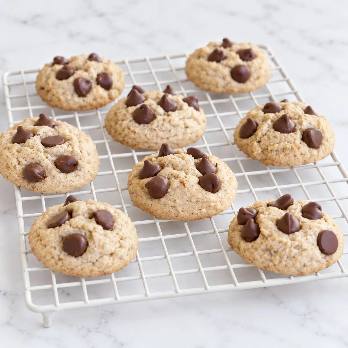chickpea flour coconut flour chocolate chip cookies on a cooling rack