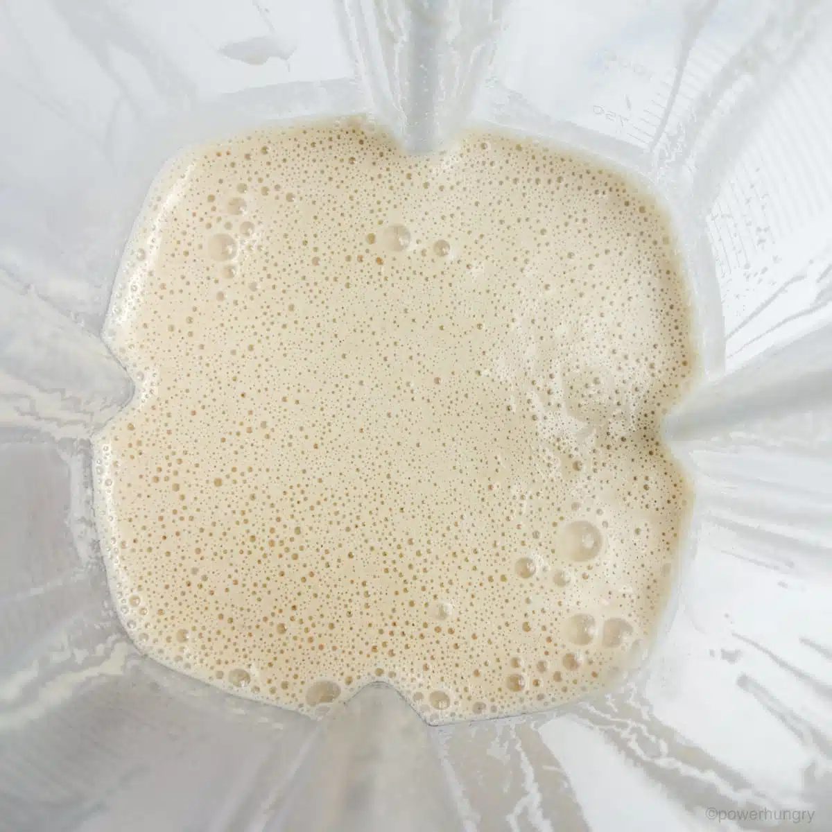 blended sunflower seeds and water in a blender