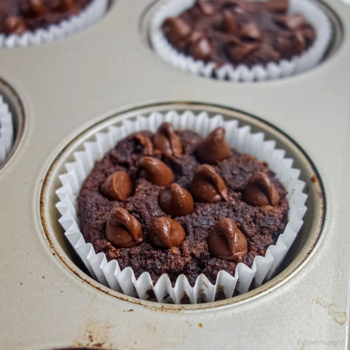 baked chocolate cupcake still in a muffin tin