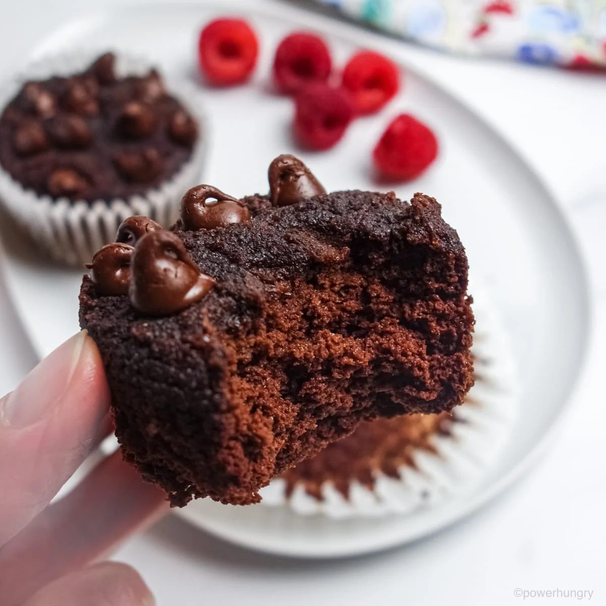 Vegan Coconut Flour Chocolate Cupcakes (oil-free, nut-free, GF)