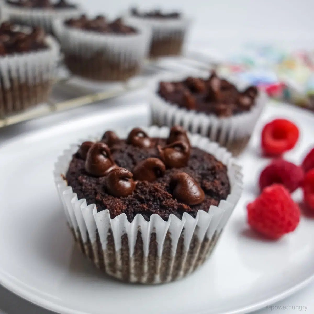 two vegan coconut flour chocolate cupcakes on a white plate, with a few raspberries alongside
