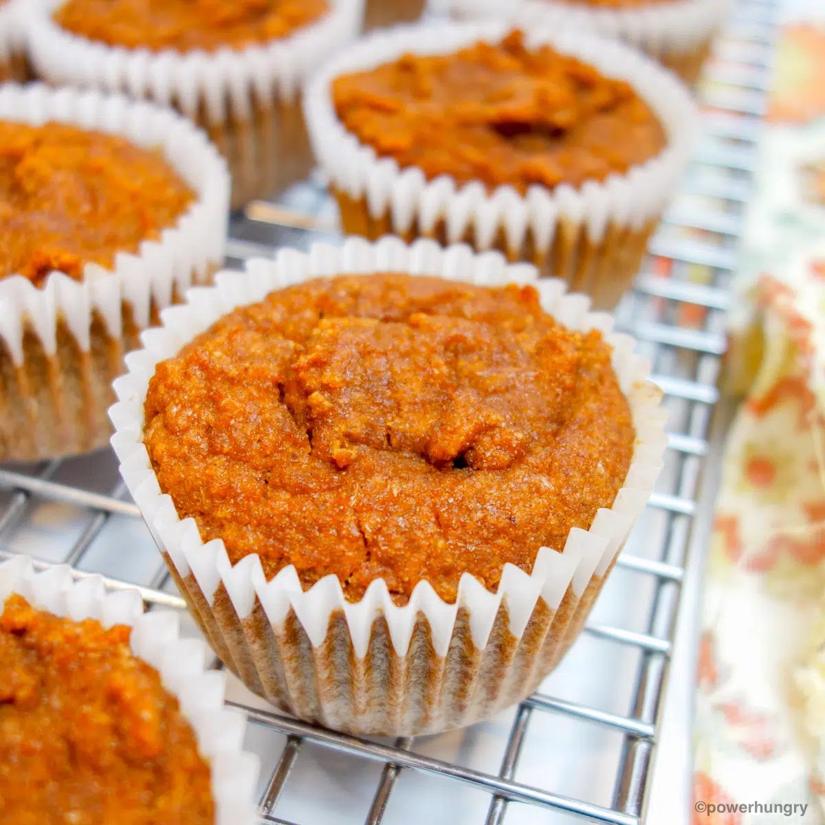 Vegan Coconut Flour Pumpkin Muffins (Grain-Free, Oil-Free),