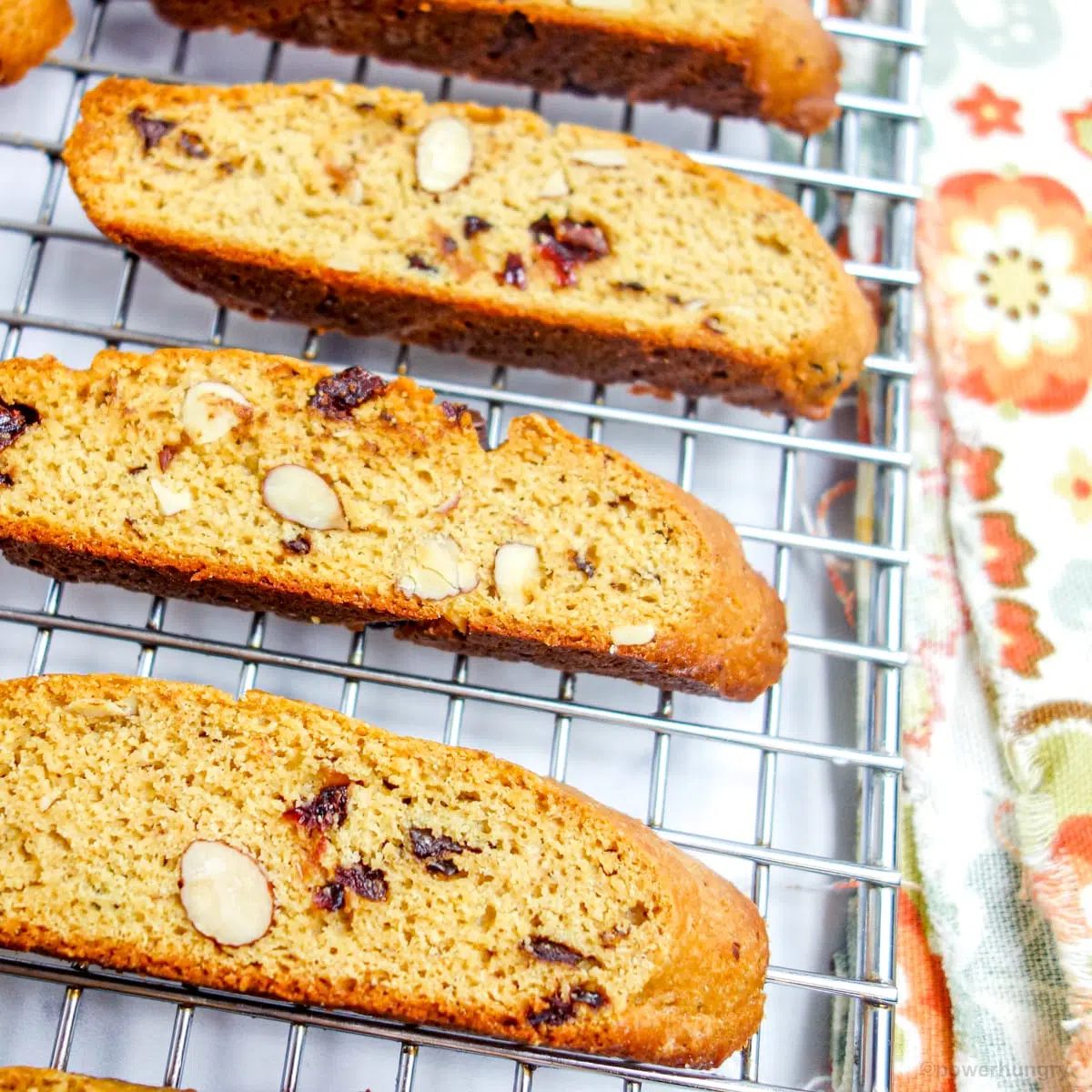 Vegan Gluten-Free Protein Biscotti