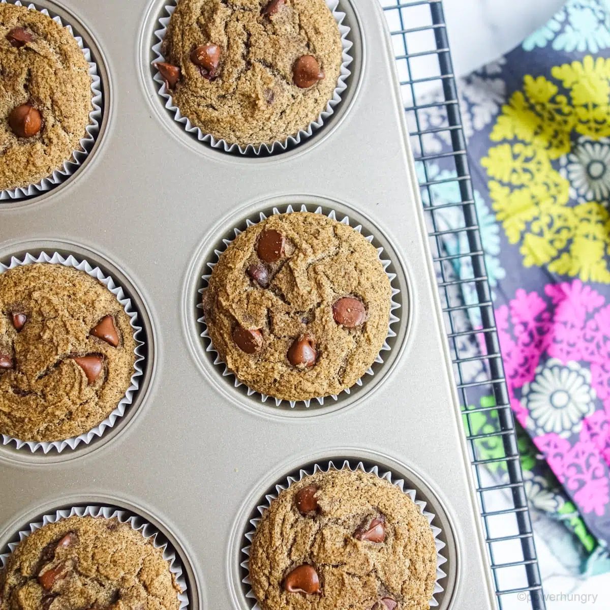 baked buckwheat flour muffins still in a muffin tin