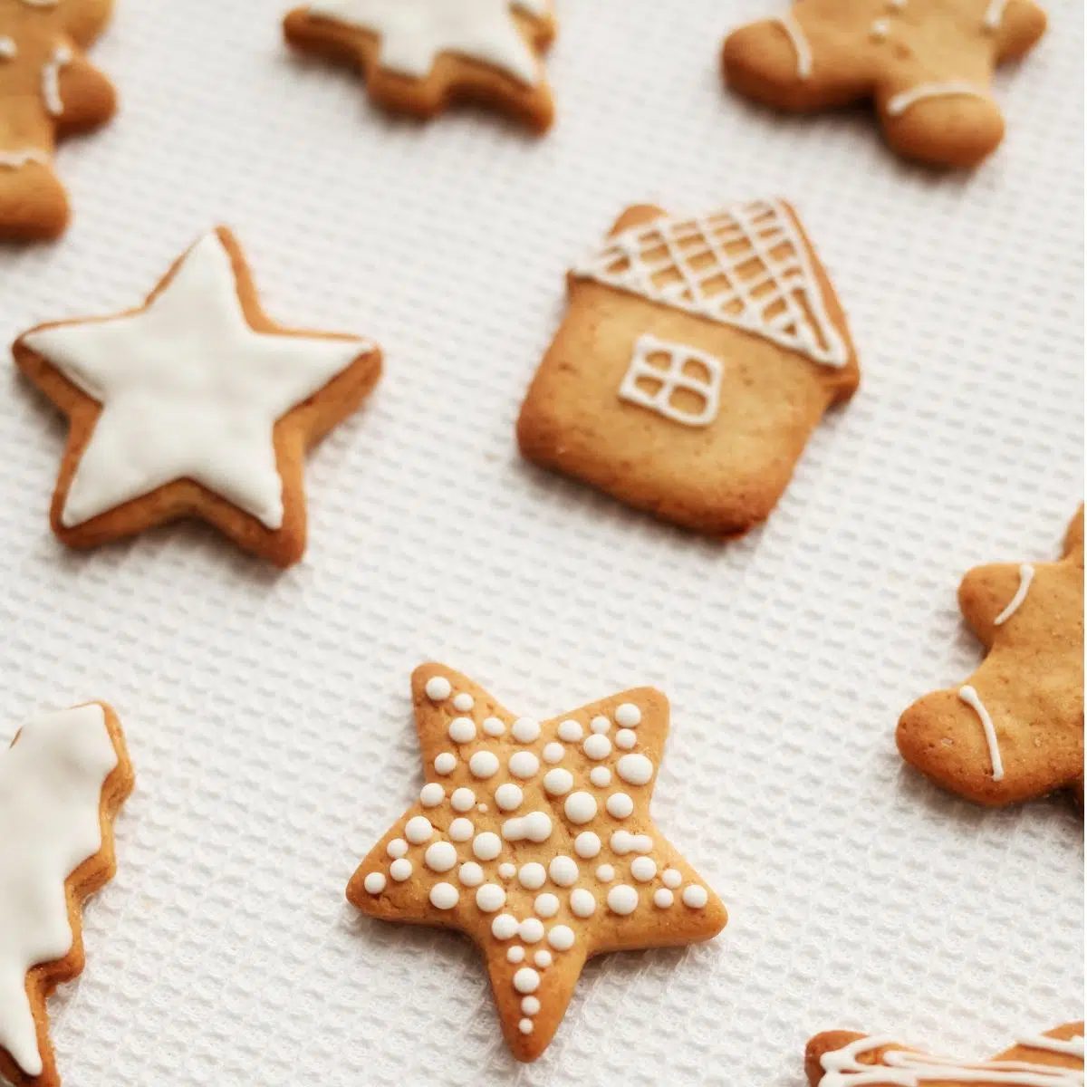 Vegan Oat Flour Cut Out Cookies