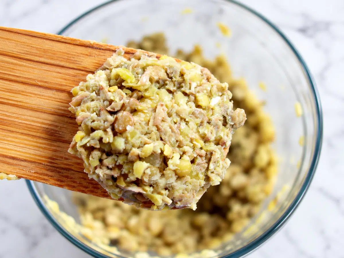 pulsed lentils for plant-based meat
