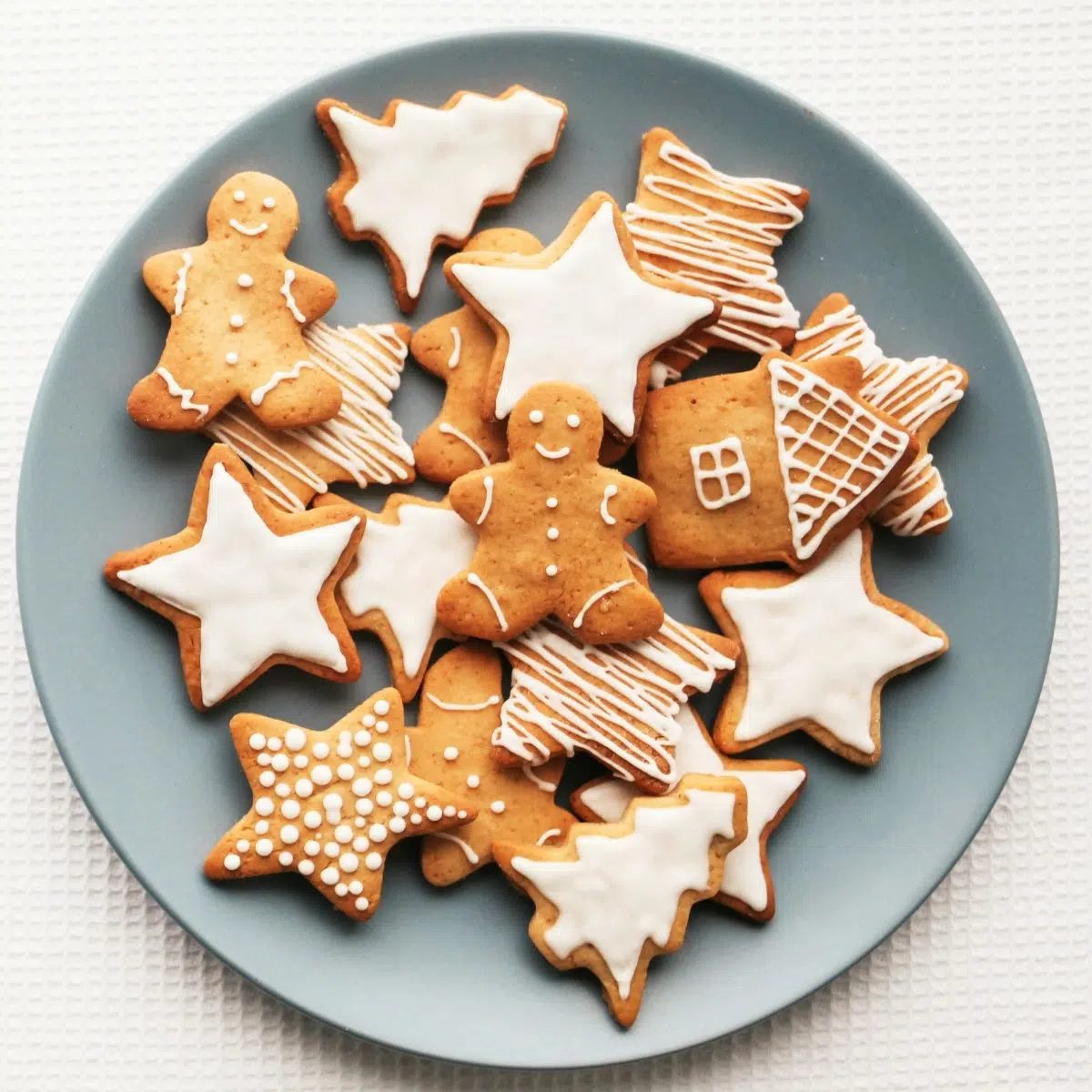 oat flour cut out cookies on a pale blue plate