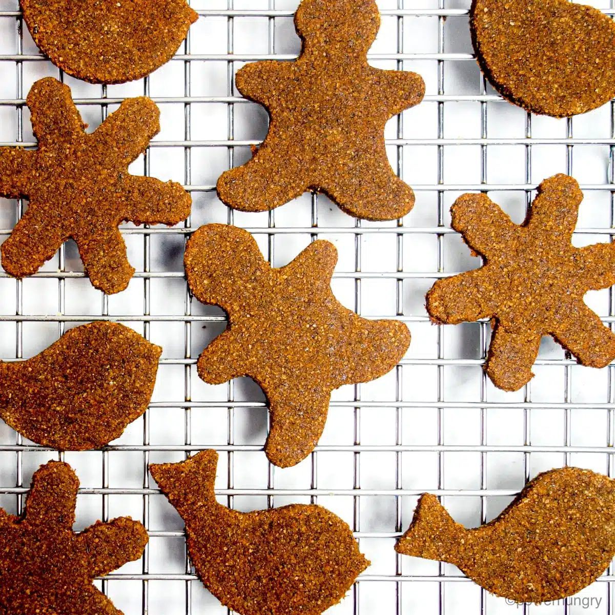 chia coconut gingerbread cookies on a cooling rack
