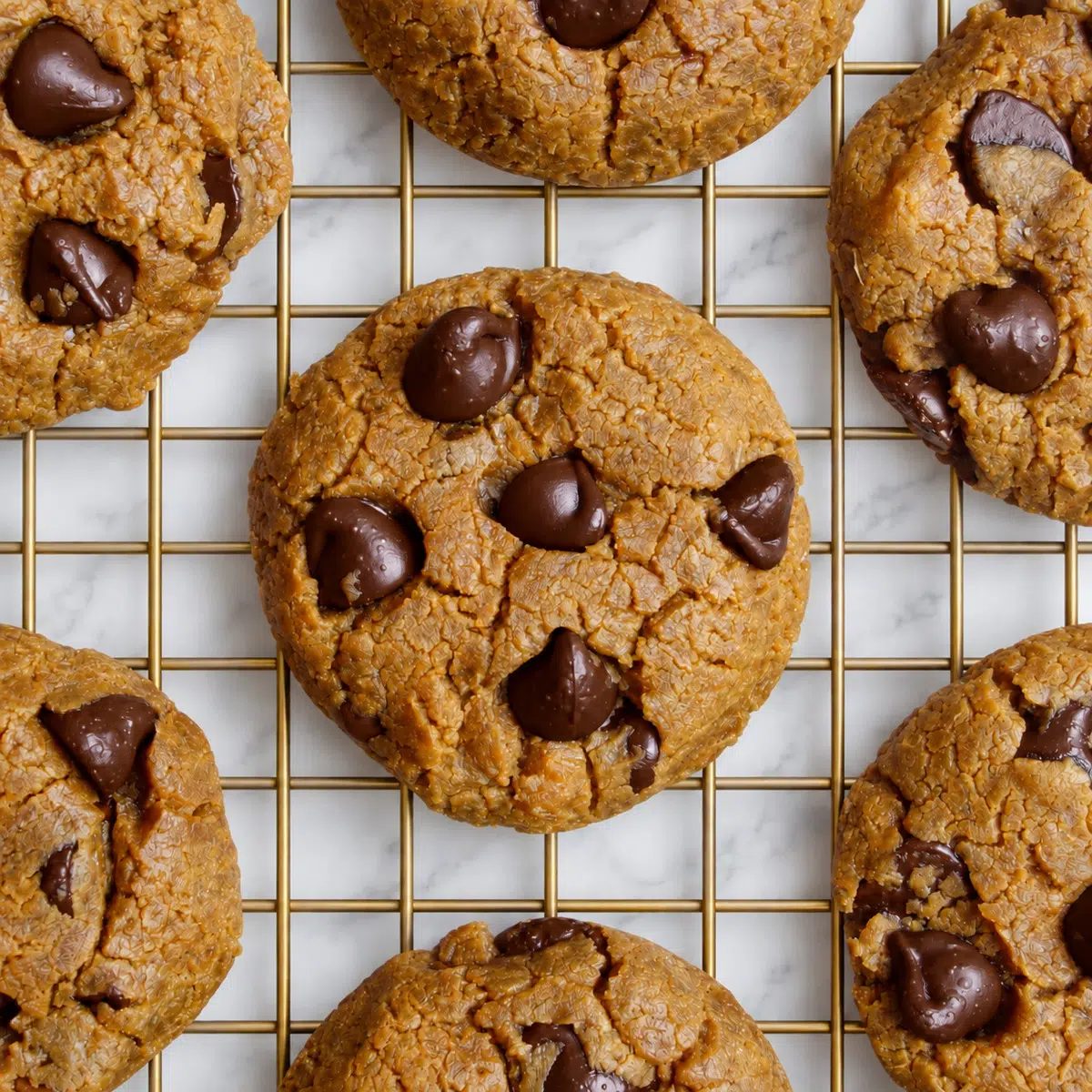 overhead image of sunflower seed butter chocolate chip cookies