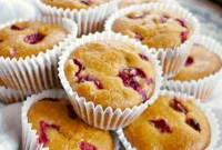 Grain-Free Vegan Cranberry Orange Chickpea Muffins