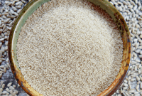Craft Your Own Nut Free Keto Sunflower Seed Flour
