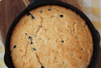 Vegan Grain-Free Blueberry Chickpea Skillet Bread
