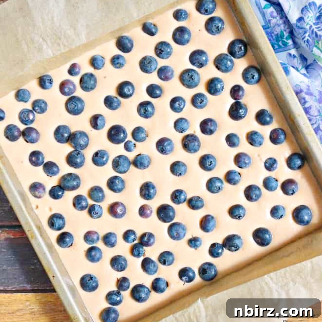 Hearty Vegan Blueberry Lentil Bake 4 lentil bread batter in a pan with blueberries layered on top