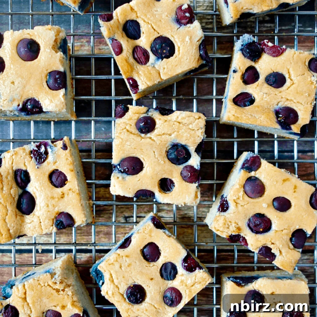 Hearty Vegan Blueberry Lentil Bake 5 overhead of vegan blueberry bread squares
