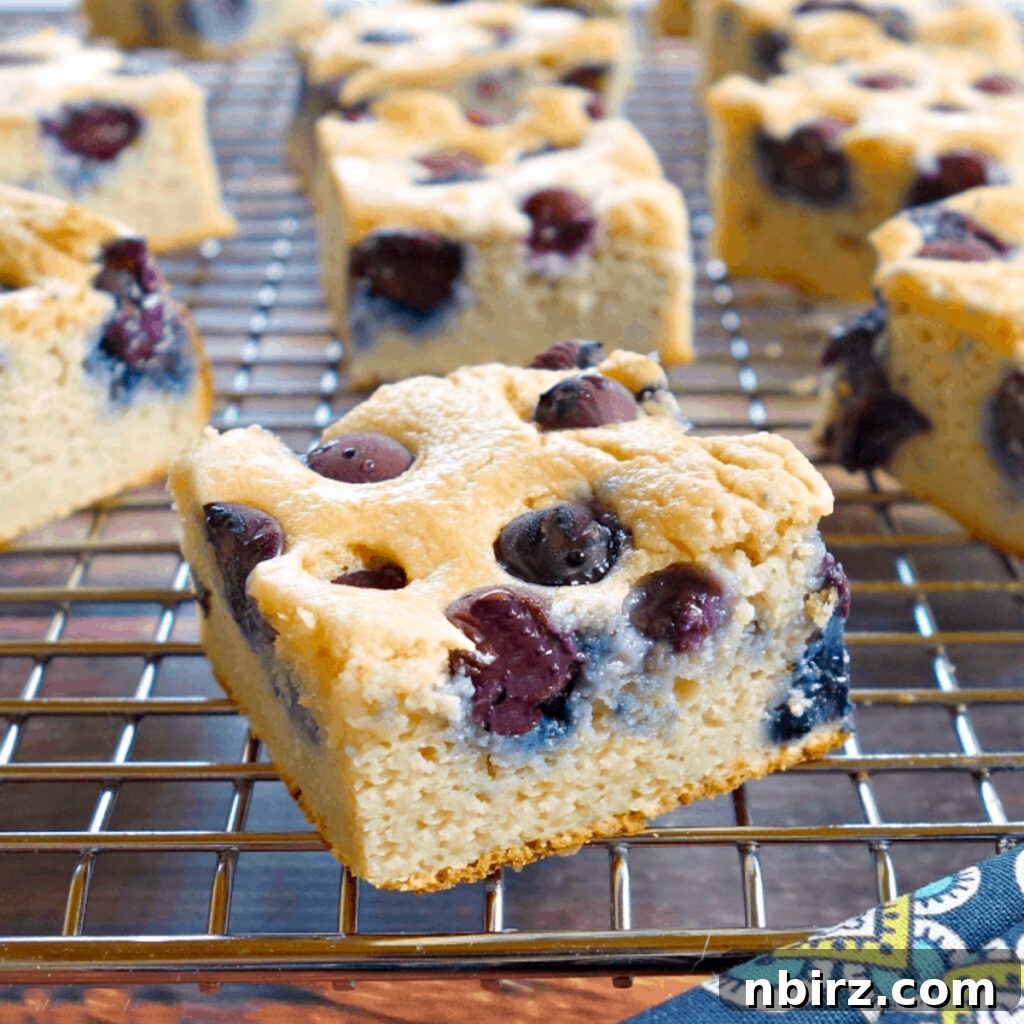 Hearty Vegan Blueberry Lentil Bake 6 close up of red lentil bread with blueberries
