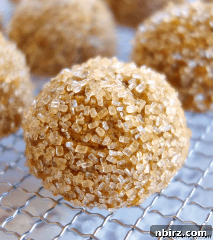Wholesome Plant-Based Gluten-Free Pumpkin Almond Cookies 3 A close-up view of a single pumpkin almond flour cookie, showcasing its soft texture, placed on a wire cooling rack.