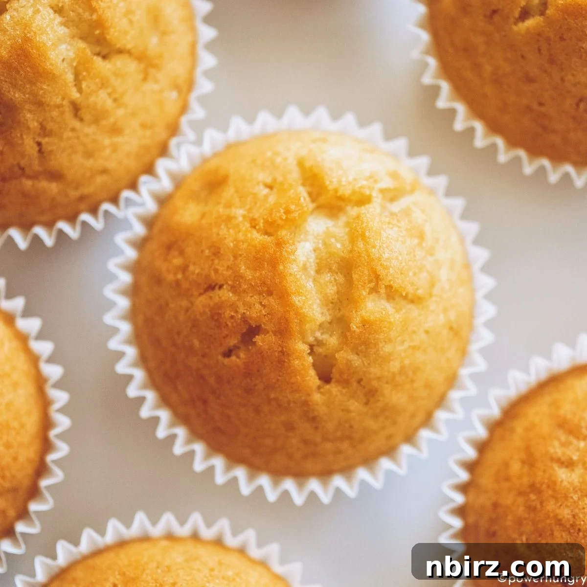 Guilt Free Vegan Coconut Flour Muffins Grain Free Oil Free 3 Close-up of a single vegan coconut flour muffin on a white surface, showcasing its tender texture.