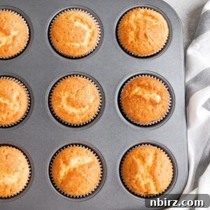 vegan coconut flour muffins