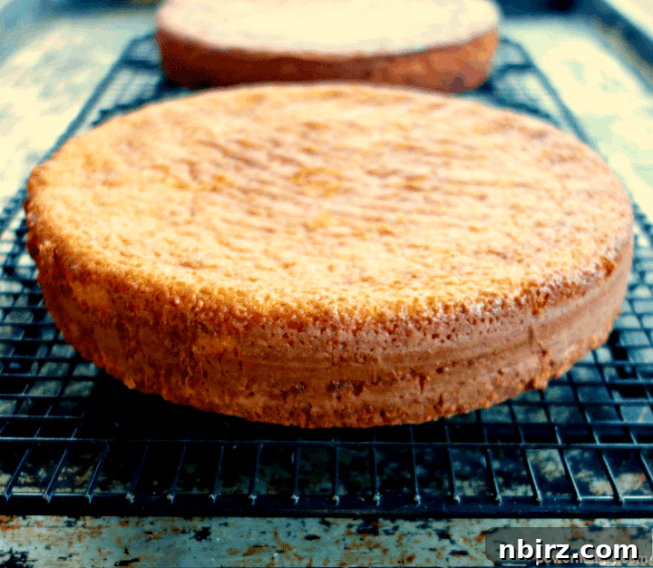 Vegan Vanilla Layer Cake: A Grain-Free Delight 9 Grain-Free and Vegan Vanilla Cake Layers on a Cooling Rack