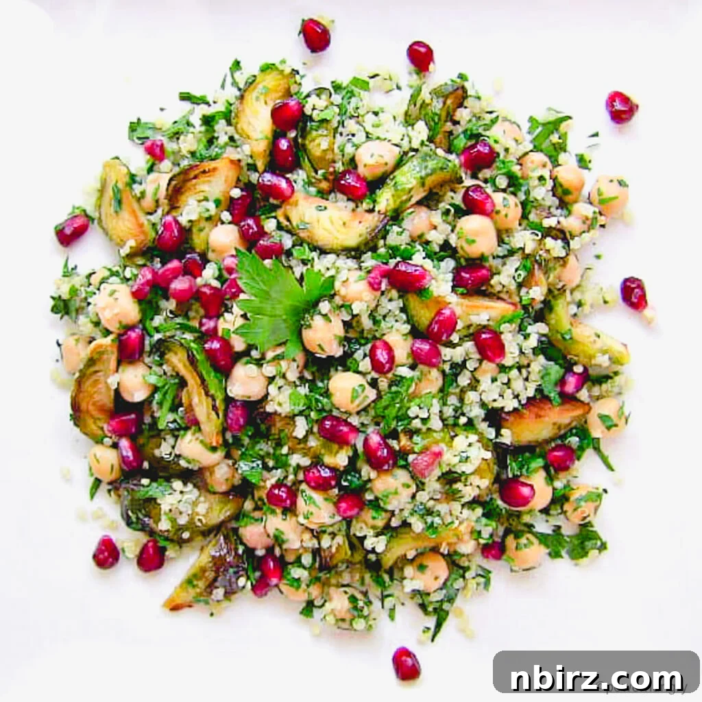 Protein-Packed Oil-Free Brussels Sprouts Quinoa Pomegranate Salad 2 Overhead shot of a vibrant Brussels sprouts quinoa pomegranate salad, beautifully arranged in a bowl, showcasing its rich colors and textures.