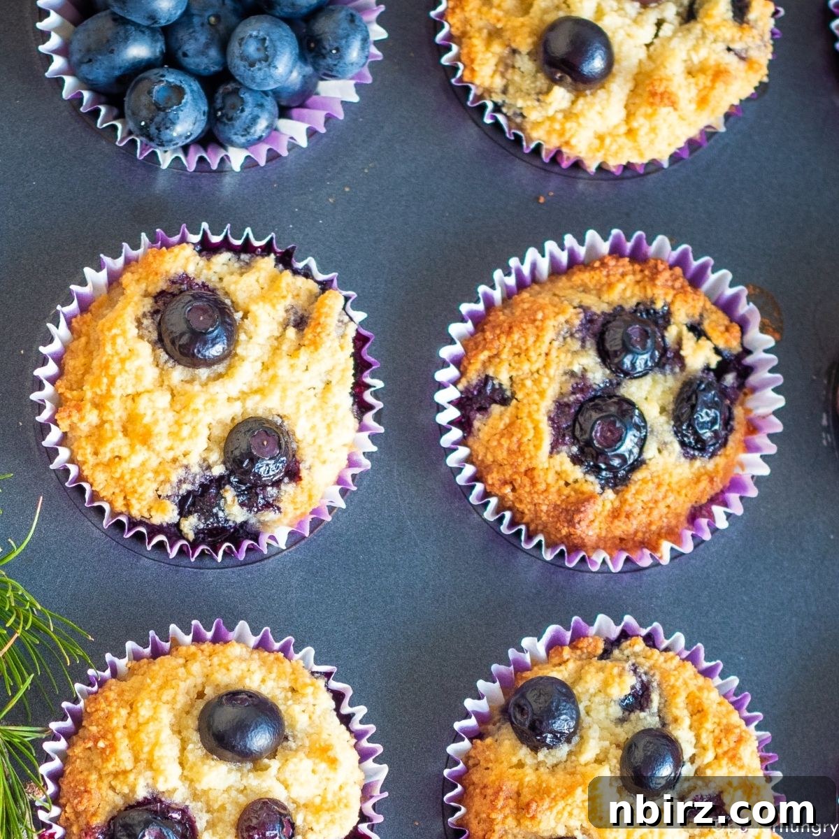 Overhead shot of freshly baked vegan almond flour muffins in a tin, showing golden tops.