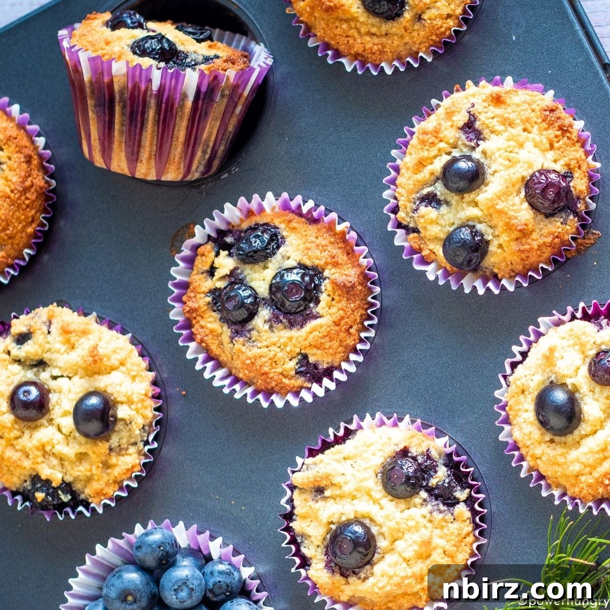 A close-up shot of several vegan almond flour muffins cooling in a muffin tin.