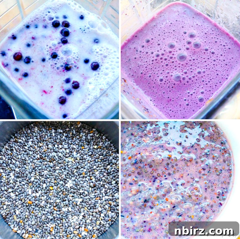 Sugar-Free Blueberry Chia Pudding 2 Photo collage showing the process of making blueberry chia seed pudding, from blending ingredients to final chilled product.