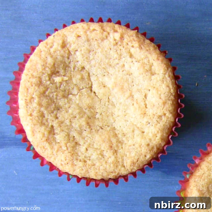 Allergy-Friendly Vegan Coconut Flour Cupcakes 3 Overhead view of a beautifully baked vanilla coconut flour vegan cupcake on a serene blue background, showcasing its perfect rise and tender crumb.