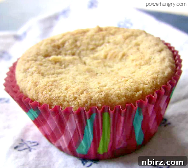 Allergy-Friendly Vegan Coconut Flour Cupcakes 5 A perfectly baked, unfrosted coconut flour vegan cupcake nestled in a charming pink striped paper muffin liner, ready for decoration.
