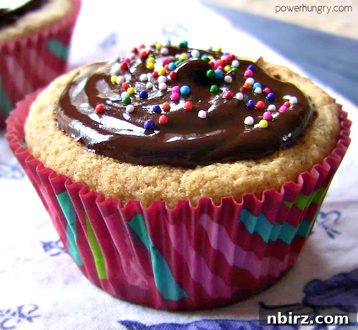 Allergy-Friendly Vegan Coconut Flour Cupcakes 7 An exquisitely decorated vegan coconut flour cupcake, generously topped with rich vegan chocolate frosting and a sprinkle of colorful decorations.
