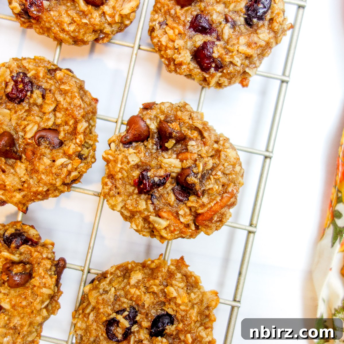 Wholesome Two-Ingredient Banana Oat Cookies 9 Delicious 2-ingredient banana oat cookies cooling on a gold-colored wire rack, glistening and ready.