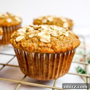 Overhead shot of two fluffy vegan peanut butter banana oat muffins with a bite taken out of one, revealing the tender interior.