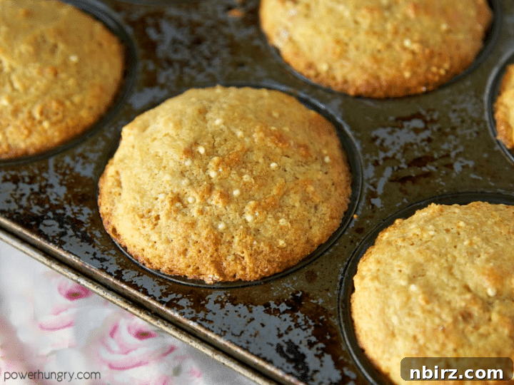 Golden Toasted Millet Banana Muffins Vegan Gluten Free 5 a metal muffin tin filled with freshly baked banana millet muffins