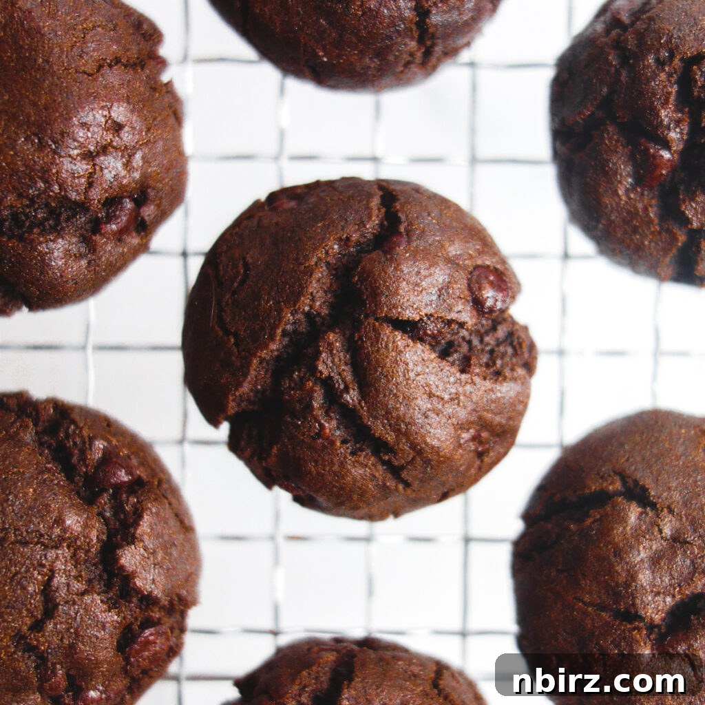 Indulgent Vegan Chocolate Buckwheat Cookies (Gluten-Free Oil-Free) 8 Chocolate buckwheat cookies cooling on a wire rack, with steam gently rising, ready to be enjoyed.