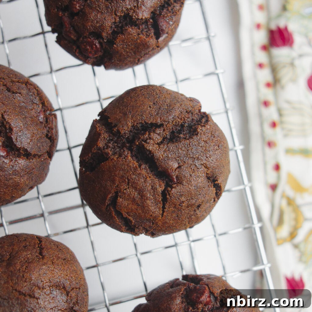 Indulgent Vegan Chocolate Buckwheat Cookies (Gluten-Free Oil-Free) 9 Multiple vegan chocolate buckwheat cookies neatly arranged on a cooling rack, highlighting their uniform size and inviting appearance.