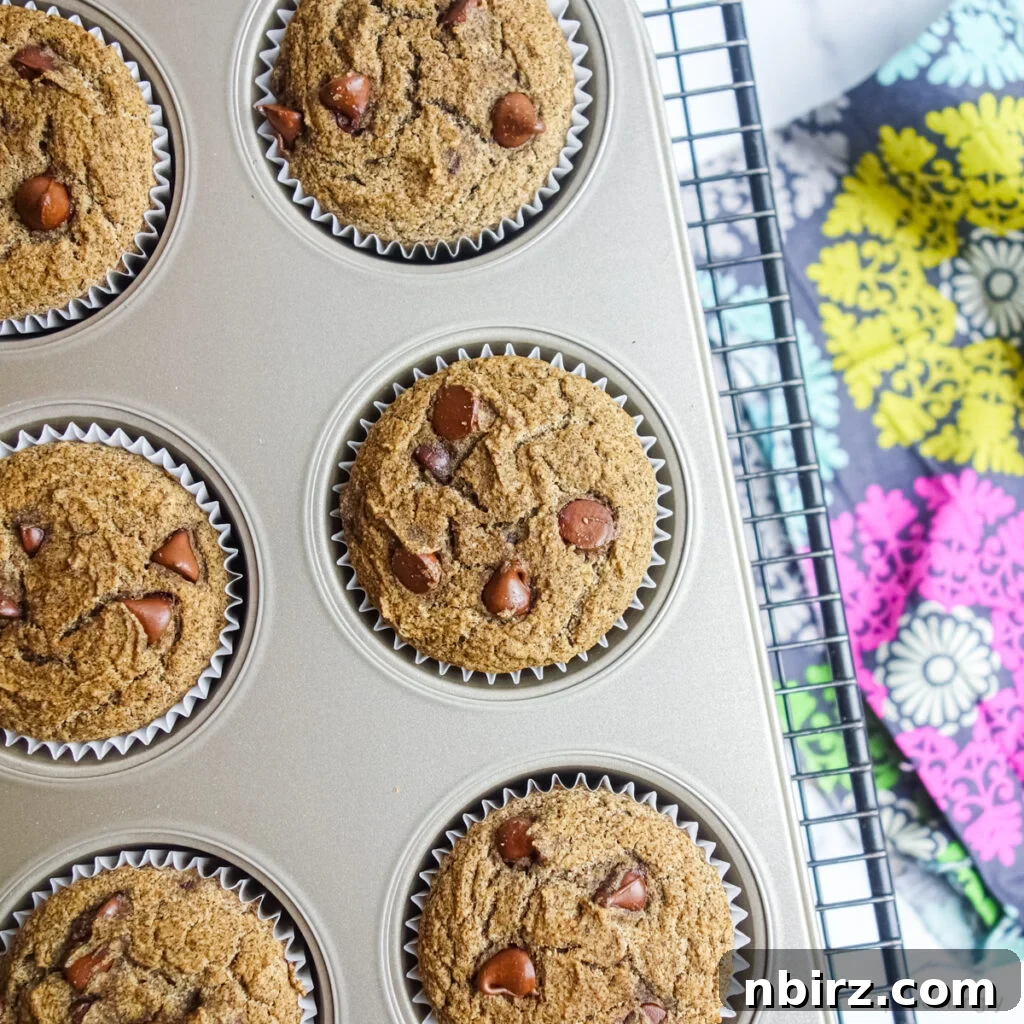 Freshly baked buckwheat flour muffins, golden and puffed, still resting in the muffin tin after being removed from the oven.