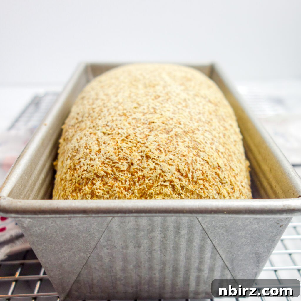 A freshly baked gluten-free vegan sandwich bread resting in a metal loaf pan after coming out of the oven.