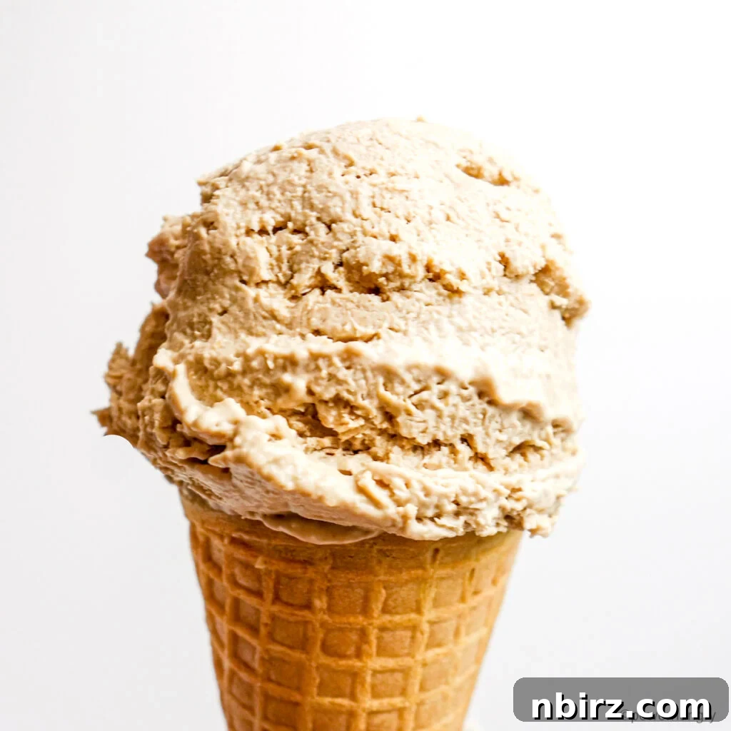 Creamy 4-Ingredient No-Churn Vegan Vanilla Sunflower Seed Ice Cream 3 A perfectly scooped portion of sunflower seed vanilla ice cream resting on a crisp sugar cone, highlighting its smooth texture and inviting appeal.