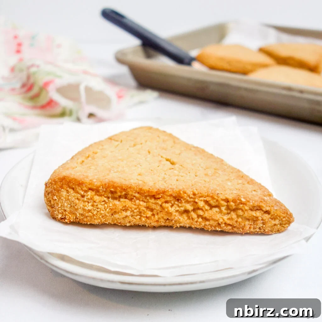 Effortless Almond Flour Scones: A Vegan & Gluten-Free Delight 2 Almond Flour Scone on a Plate