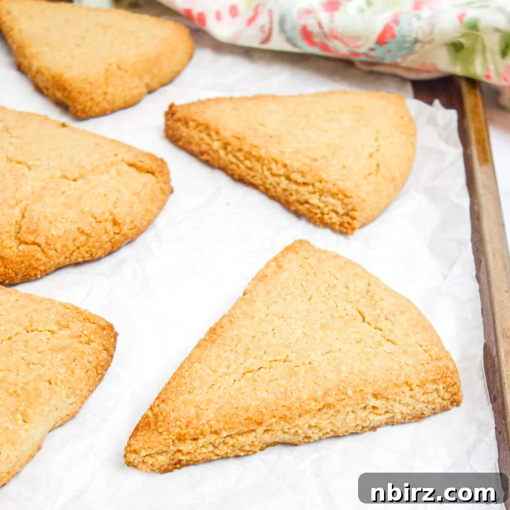 Effortless Almond Flour Scones: A Vegan & Gluten-Free Delight 14 Almond Flour Scones Cooling