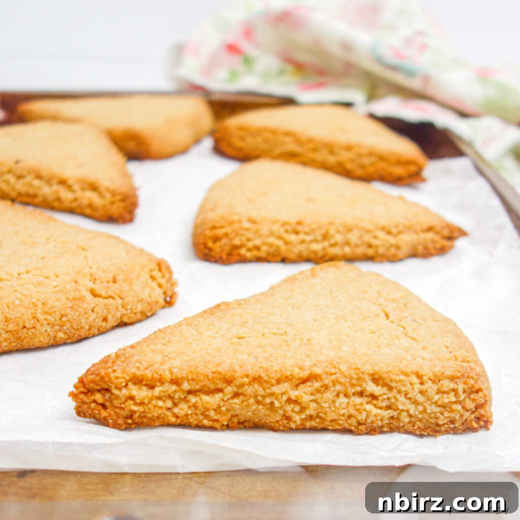 Effortless Almond Flour Scones: A Vegan & Gluten-Free Delight 3 Almond Flour Scones on a Baking Sheet