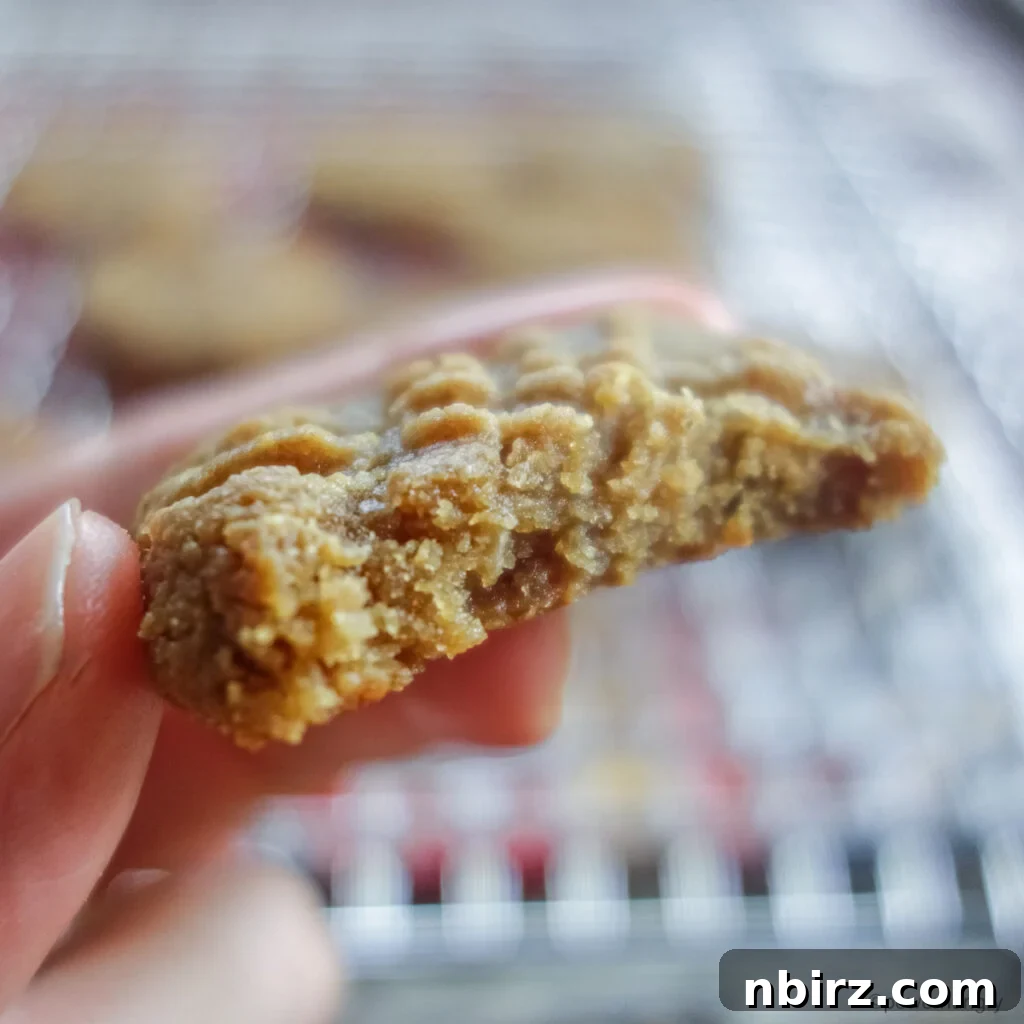 Effortless Two-Ingredient Vegan Gluten-Free Oil-Free Peanut Butter Banana Cookies 11 a 2 ingredient cookie with a bite taken out