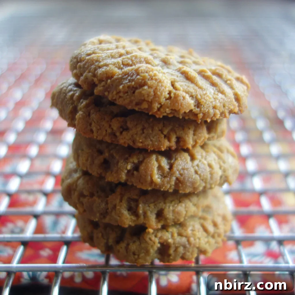 Effortless Two-Ingredient Vegan Gluten-Free Oil-Free Peanut Butter Banana Cookies 12 a stack of peanut butter banana cookies