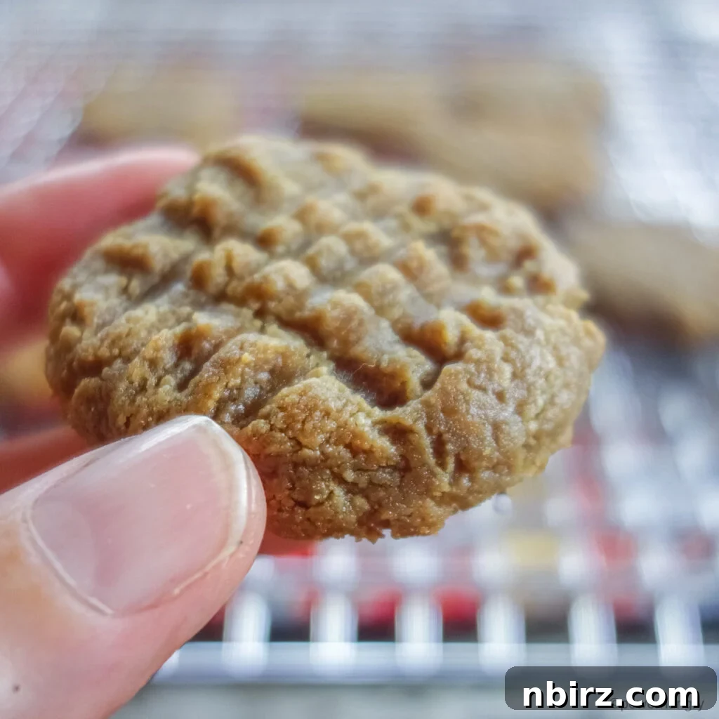 Effortless Two-Ingredient Vegan Gluten-Free Oil-Free Peanut Butter Banana Cookies 3 a close-up of a peanut butter cookie held in a person's fingertips